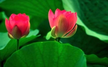Cuộc đời tương đối mà